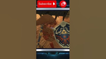 【Twilight Princess】Spike Log Surprise in Arbiter