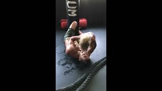 Aryane Steinkopf E Beto Malfacini Treinam Com O Filho