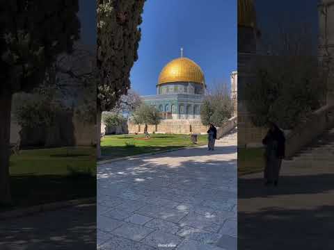 صوت الأقصى يا رب نصرك