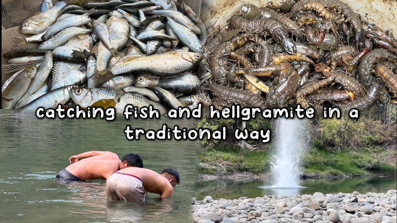 Catching fish and hellgramite in a traditional way.