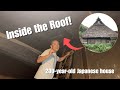 Inside a 200-Year-Old Japanese Roof! 🏯✨🐕
