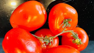 Protect Tomatoes From Aphids Video 2023