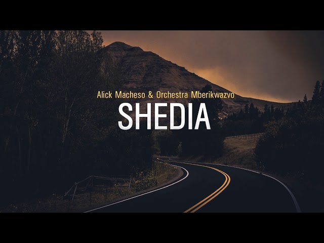Alick Macheso - Shedia class=