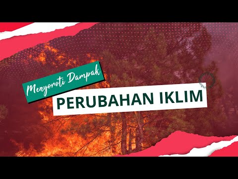 Menyoroti Dampak Perubahan Iklim di Berbagai Bidang