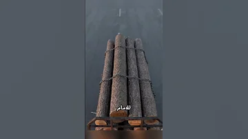 هل القيادة خلف شاحنة الأخشاب خطر حقيقي 