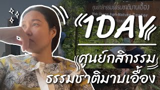 1 วัน ตามที่ทำงานไป 🌼 ณ ศูนย์กสิกรรมธรรมชาติมาบเอื้อง จังหวัดชลบุรี