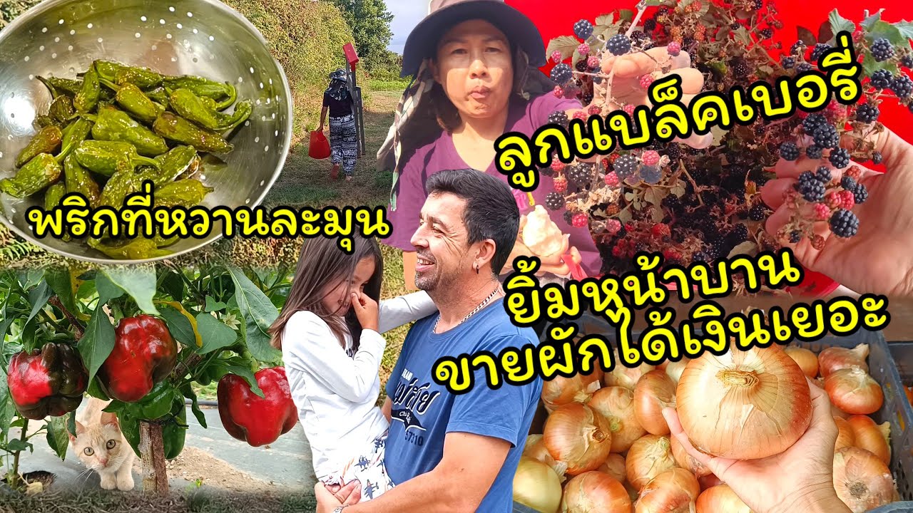 ได้เงินทั้งวันเลยหน้าบาน...18 สิงหาคม ค.ศ. 2025