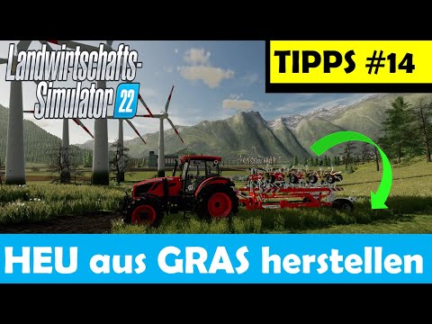 Video: Was bedeutet Heu und Gras?