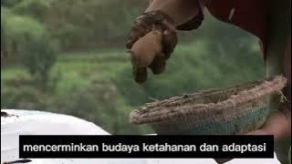 Dokumenter film 'NEGERI DIBAWAH KABUT'