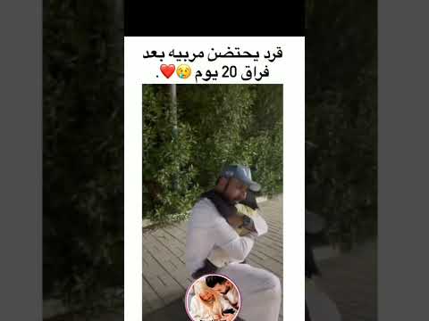 لحظات اجمل الفراق يحتضن صاحبه بعد فراق 20يوم 
