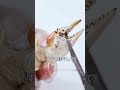 世界でいちばん食べるのがもったいない料理