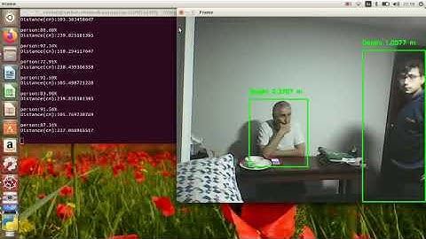 Covid-19 Social Distance Violation Detector Using OpenCv