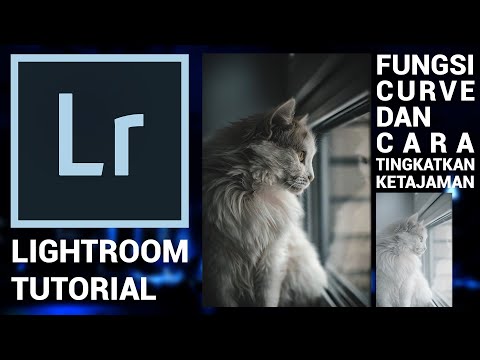 Video: Bagaimanakah cara meningkatkan bokeh dalam Lightroom?