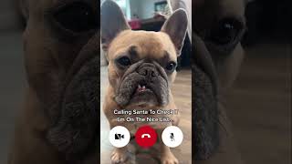 Calling Santa #frenchielife #christmaswish #santapaws