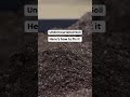 Undernourished Soil? Tips for creating great soil! ☝🏼