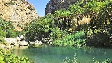 Preveli palmforest, Kreta (watch in HD!) filmed with Zhiyun Smooth Q + iPhone 7 Plus