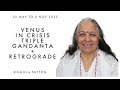 Venus in Crisis - Triple Gandanta + Retrograde: Komilla Sutton