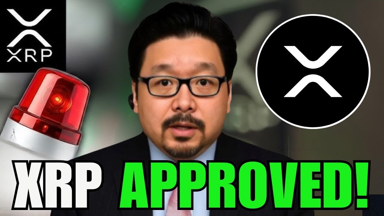 OMG XRP JUST APPROVED!! (HUGE CONFIRMATION) 🚨