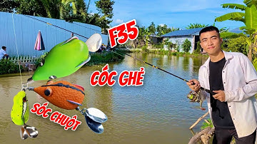 Lure Bằng Cần Câu Máy Ngang TITAN Và Mồi Nhái Thái Lan 79k