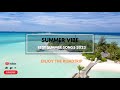 Best 2k23 summer vibeenjoy the roadtrip  mix salsa and reggae house playlist  free music no2