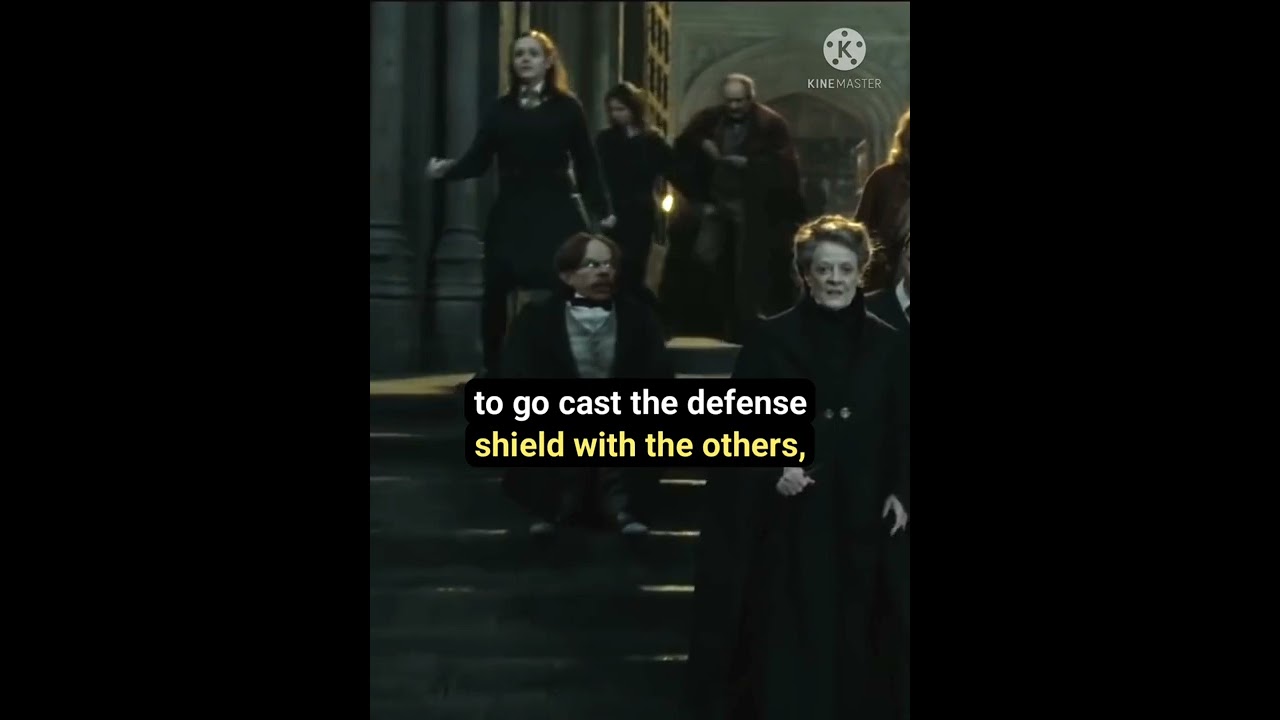 Did you know that in HARRY POTTER AND THE DEATHLY HALLOWS PART 2.......