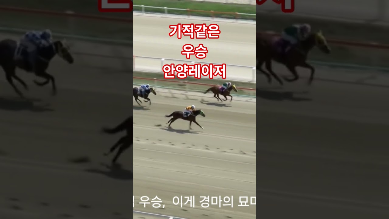 기적같은 우승 안양레이저