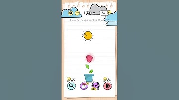 Brain Test - Level 2 - How to Blossom this Flower?