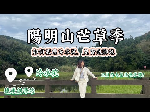 台灣旅遊｜陽明山芒草季、如何抵達冷水坑、隱藏免費泡腳池&溫泉