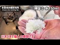 【キャンプ道具】戦闘飯盒二型による水蒸気炊飯研究〜アルデンテご飯を求めて〜