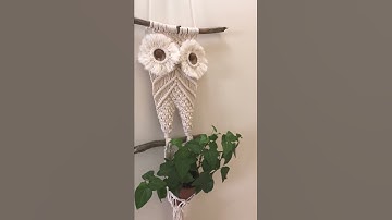 Owl macrame plant holder