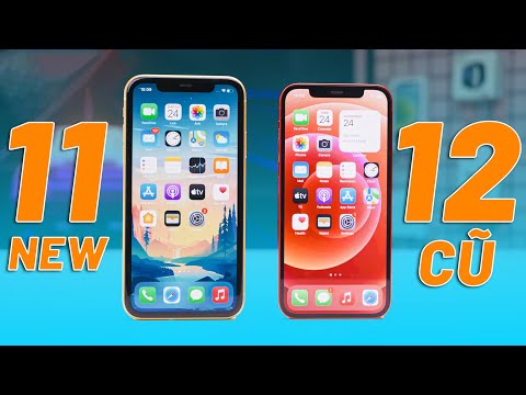 Video TẦM NÀY NÊN MUA IPHONE 11 MỚI HAY IPHONE 12 CŨ? - youtube