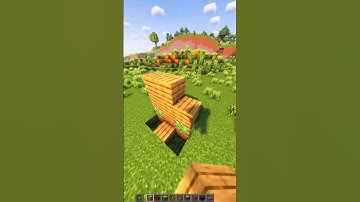Minecraft: Double Block Swapper | #shorts