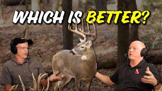 Pines Are Better Than Hardwoods For Big Bucks??