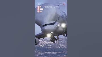Beautiful Airbus Beluga_ The Whale of the Skies #trending #shorts