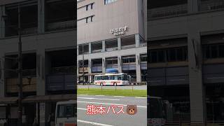 【熊本バス】熊本もバスがいっぱいよ🐻