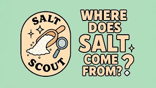 Where Does Salt Come From?🧂 | Kids’ Food Discovery Club