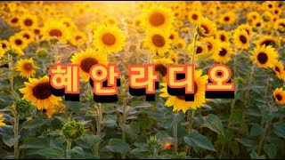 [혜안라디오] 혜안을 여는 힐링방송/소통/명상/법문/2024/3/25/월