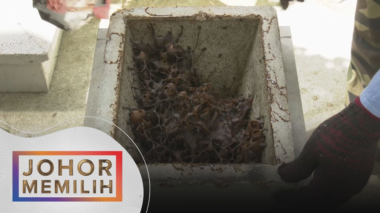 PRN Johor | Projek ternakan kelulut modular tambah pendaptan B40