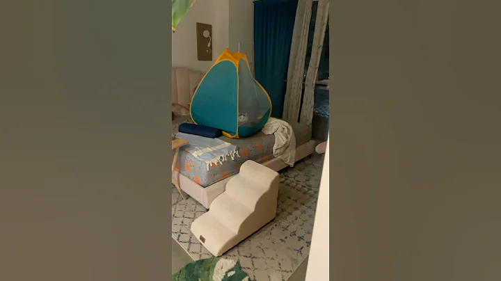 Video 6419241: cat kitten funny, baby kitty