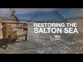 Restoring the salton sea an indepth look at lithium wetlands and the 10year plan