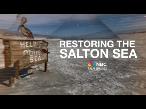 Restoring the Salton