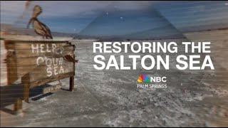 Restoring the Salton Sea: An indepth look at lithium, wetlands and the 10year plan