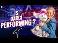 What is Darci Lynne doing now?