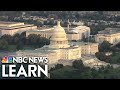 Navigating the U.S. Government Structure and Elections