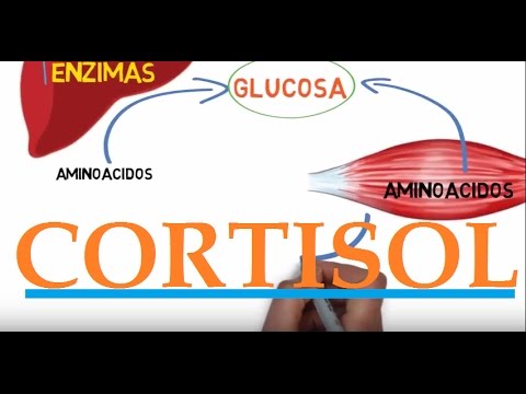 Vídeo: Cortisol Y Sueño - Vista Alternativa