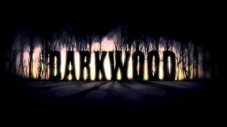 Darkwood Soundtrack - dreamGuitarImprovtut01 chords