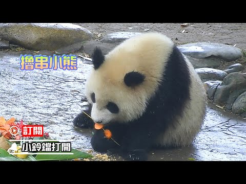 《熊貓早晚安》會擼串的小熊 | iPanda熊貓頻道