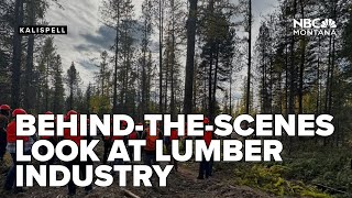Flathead Timber Tour gives behind the scenes look at lumber industry