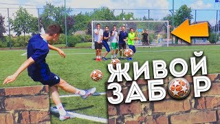 ШКОЛЬНИК VS ЖИВОЙ ЗАБОР ШКОЛЬНИК VS ЖИВОЙ ЗАБОР
