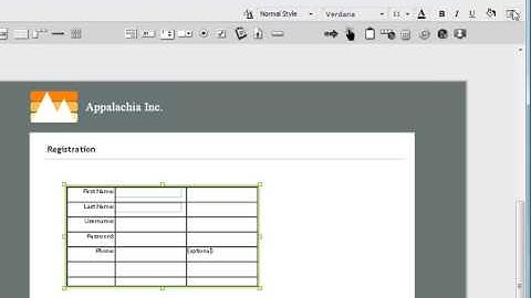 Episode 03 - Creating an iRise Registration Form